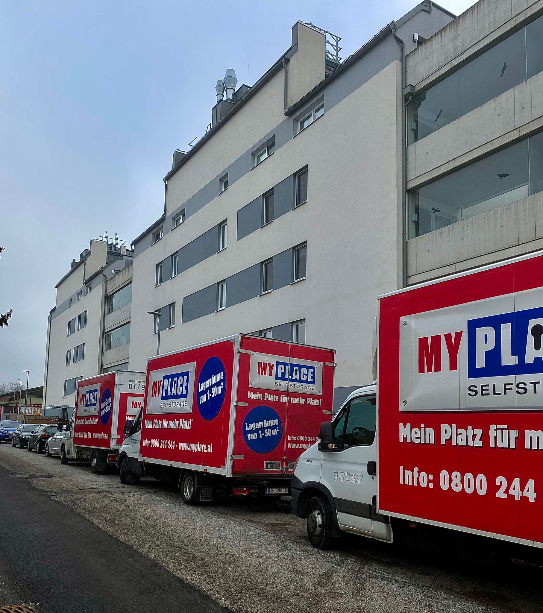 umzug wien transpsort und einlagerung