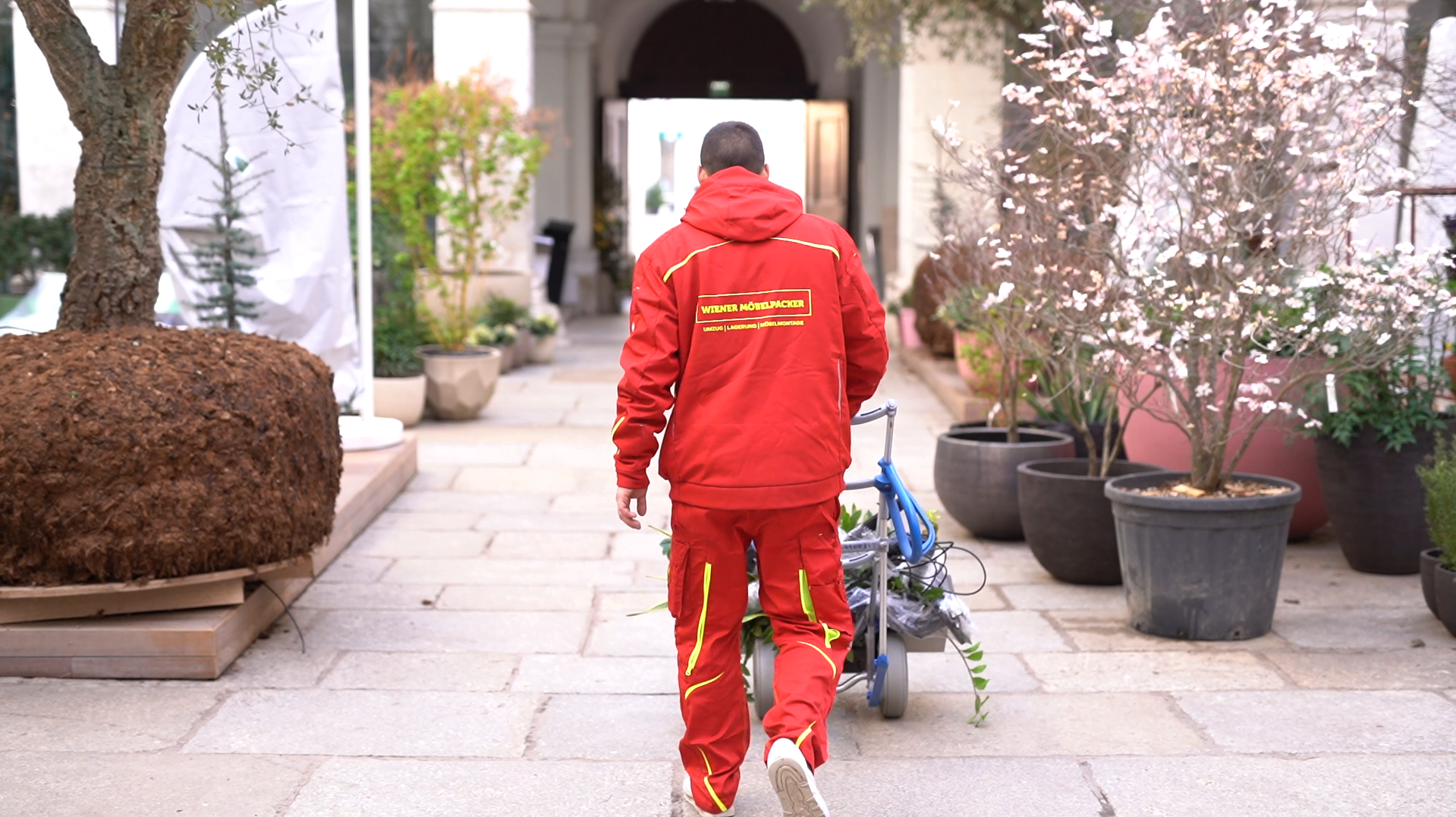 Umzug Wien Günstig 2