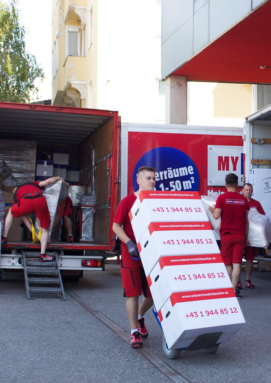 Umziehen in Niederösterreich